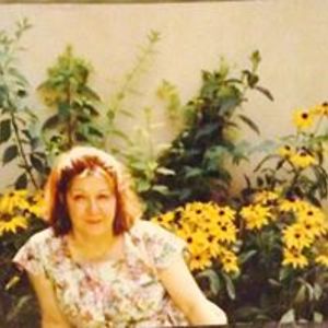 ojikmansourian avatar