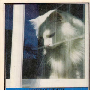 colettebembenek avatar