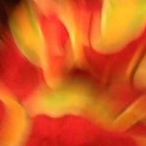 freenselfstanding avatar