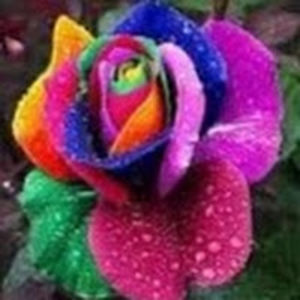 cooperanderson avatar