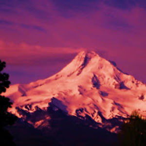 sierramontgomery avatar