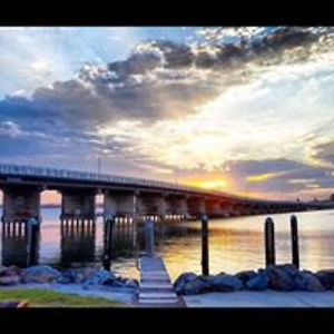 denise_elliott3 avatar