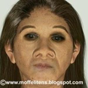 wenche_dyngeland avatar