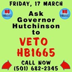 elizabethhamra avatar