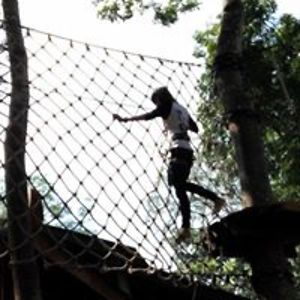 paijemgostreem avatar