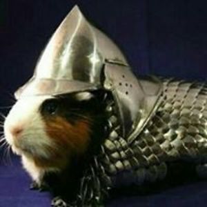 dieren-vriend avatar