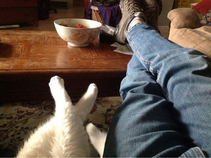 Dad relaxing with feet up, next to a pet with paws resembling human legs on a coffee table.
