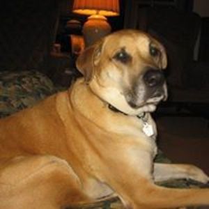 beckarobinson1969 avatar