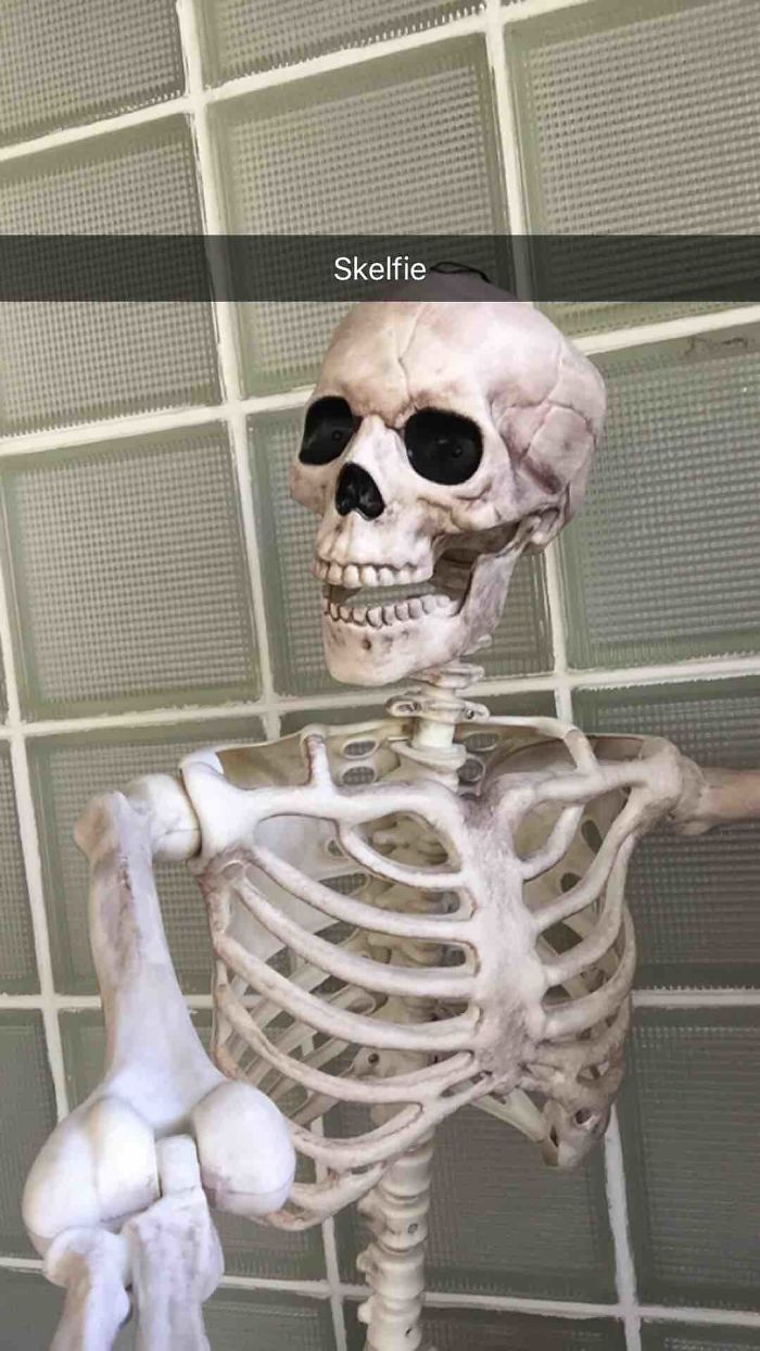 A plastic skeleton humorously posed as a "skelfie" in front of a tiled wall, showcasing dad jokes.