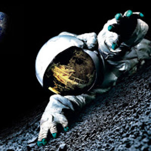 tytoalbaguttata avatar