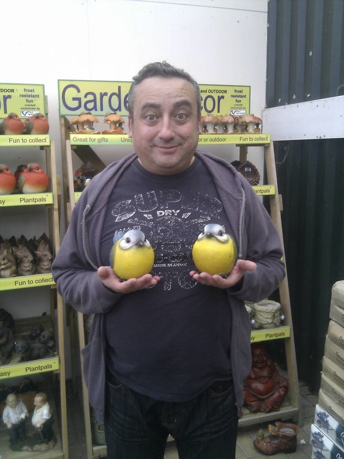 Man humorously posing with bird figurines at a garden store, embodying classic dad jokes.
