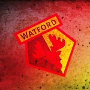 tim_caldicott avatar