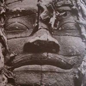 fleurdevie_tauranga avatar