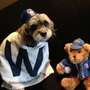 michelle44mta avatar