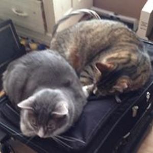 captain_kevin_video avatar