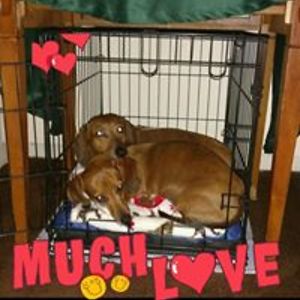 beckypolsgrove avatar