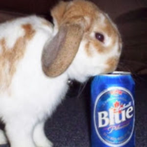 beerbunnyboozez avatar