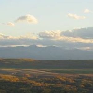 cindylrobinson avatar