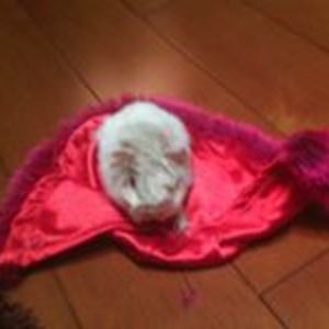 natalie_milan_lb avatar