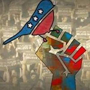 carin_enovijas avatar