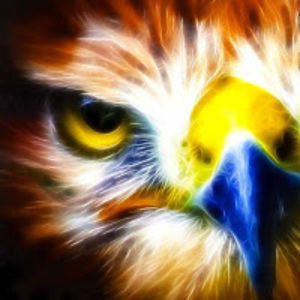 landensalisbury avatar