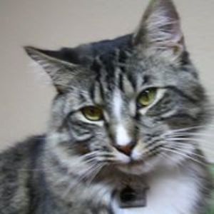 awdrystplfrd56 avatar