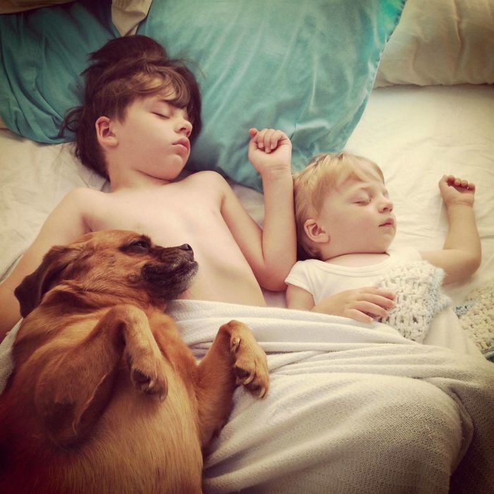 "Sleeping Buddies" The Best Photo I've Ever Taken Of My Boys