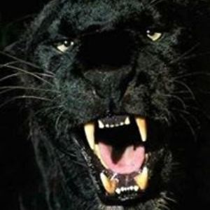 george_a_pope avatar