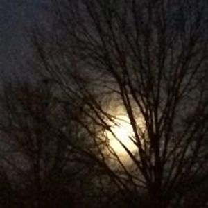 ellen_hovanec avatar