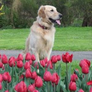 legranddutchess avatar