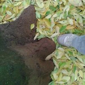 juraj_ostojic avatar