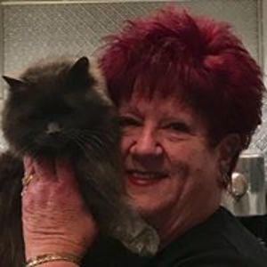 igottaview346 avatar