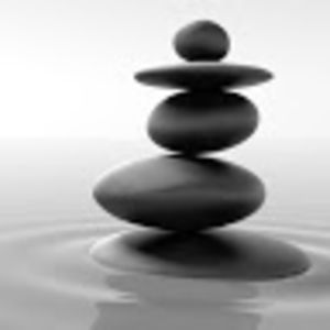 hankavojnikova avatar