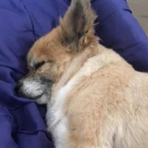 raymondj_buckley avatar