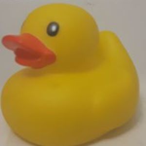 aleksis_dignard avatar