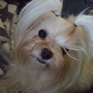 raquelgsmurcia avatar