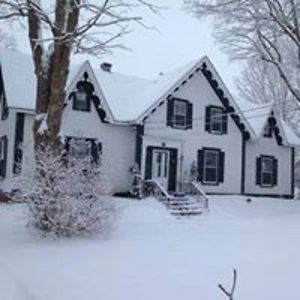 kitforrestall avatar