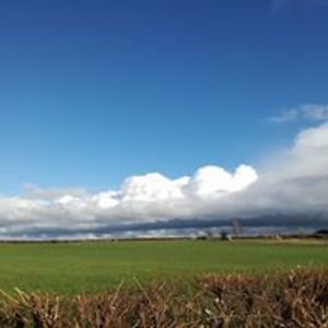 stevenmillardbristol avatar