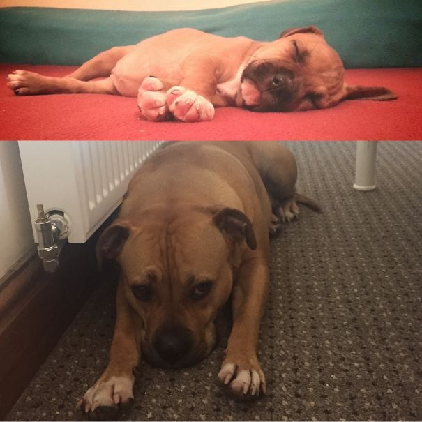 Tasha Never Stopped Falling Asleep In A Melting Position