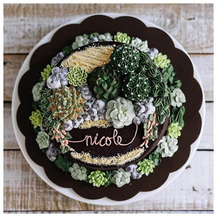 Succulent Cakes