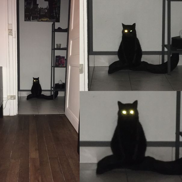 Beware Human, I'm Watching You...