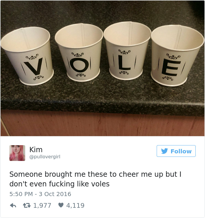 Relatable Woman Tweet