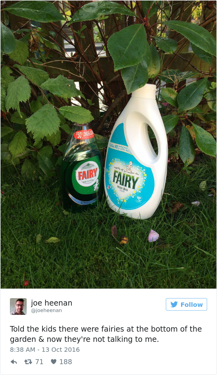 Dad jokes taken to another level with Fairy detergent bottles placed in a garden setting.