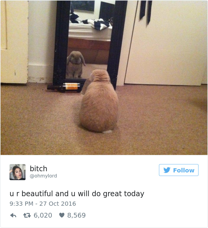 Relatable Woman Tweet