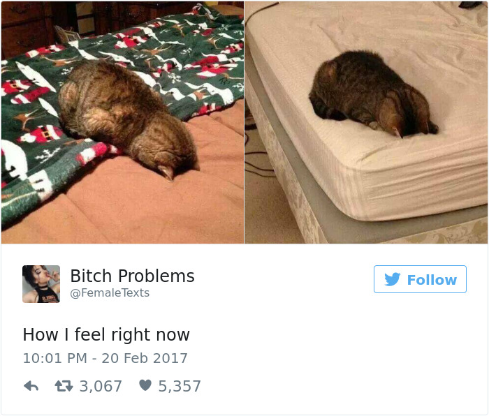 Relatable Woman Tweet