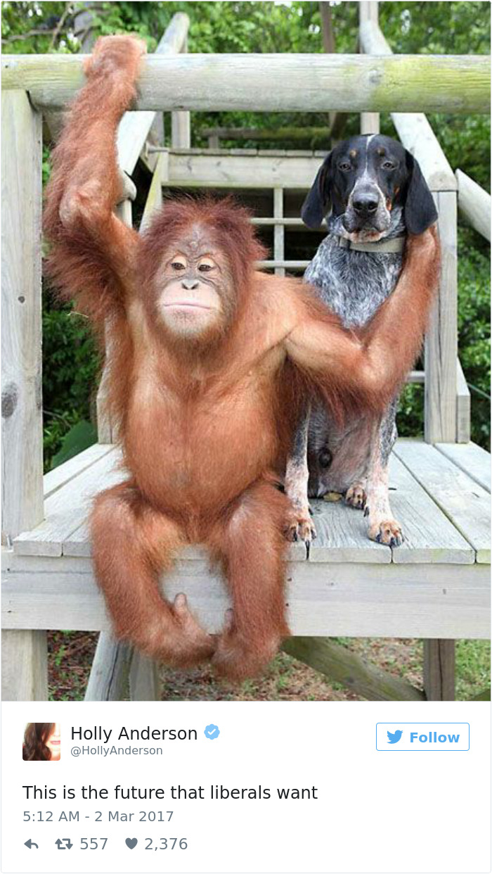 Future-that-liberals-want-twitter-meme