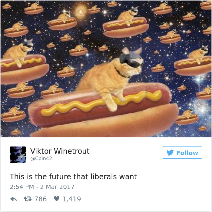 Liberal Future Meme