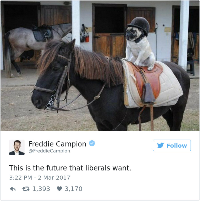 Future-that-liberals-want-twitter-meme