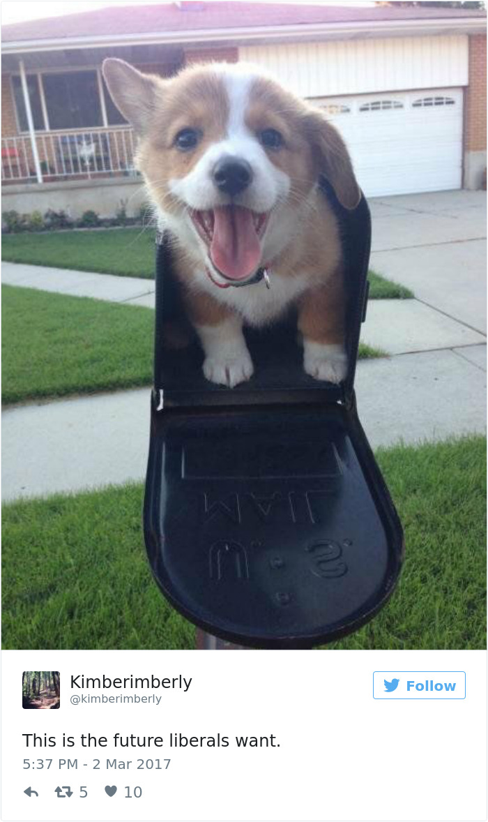 Future-that-liberals-want-twitter-meme
