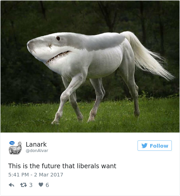 Future-that-liberals-want-twitter-meme